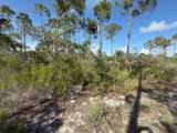 Lot A Adventure Avenue - Photo 8