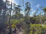 Lot A Adventure Avenue - Photo 9