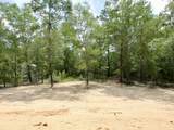376 Michaelangelo Road - Photo 12