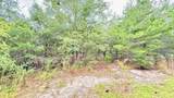 1.511 Acre Dvorak Drive - Photo 10
