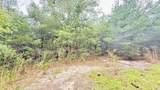 1.511 Acre Dvorak Drive - Photo 11