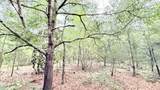 1.511 Acre Dvorak Drive - Photo 5