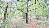 1.511 Acre Dvorak Drive - Photo 8