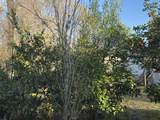 223 High Roller Soldier Road - Photo 18