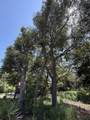 16 Crestview Street - Photo 6