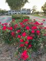 4725 Bay Point Road - Photo 28