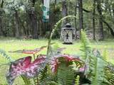 140 Chippewa Drive - Photo 48