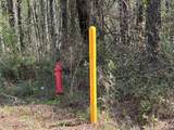 .83+/- ac Lett Road - Photo 3