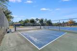 472 Cocobolo Drive - Photo 47