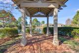 472 Cocobolo Drive - Photo 49