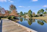 472 Cocobolo Drive - Photo 50