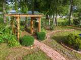768 3rd Street - Photo 45