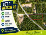 Lot 1 Watson Road - Photo 2