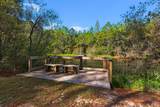 64 Hollow Log Lane - Photo 65