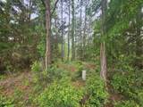 Lot #2 Dolphin Cove - Photo 3