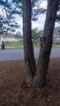 00 Parkside Street - Photo 9