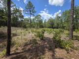 Lot 20 Tulip East Avenue - Photo 6