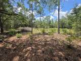 Lot 20 Tulip East Avenue - Photo 8