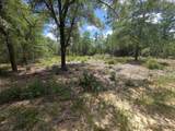 Lot 20 Tulip East Avenue - Photo 9