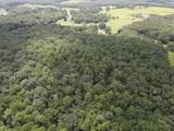 3928 Co Highway 181 - Photo 5