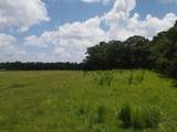 3928 Co Highway 181 - Photo 9