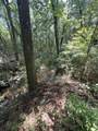 6132 Long Road - Photo 5