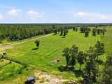 520 Acres Us Hwy 331 N - Photo 10