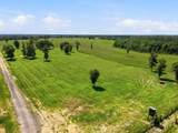 520 Acres Us Hwy 331 N - Photo 12