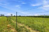 520 Acres Us Hwy 331 N - Photo 13
