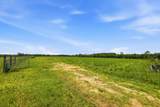 520 Acres Us Hwy 331 N - Photo 15