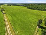 520 Acres Us Hwy 331 N - Photo 16