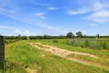 520 Acres Us Hwy 331 N - Photo 17