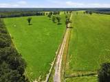 520 Acres Us Hwy 331 N - Photo 18