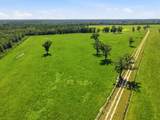 520 Acres Us Hwy 331 N - Photo 20