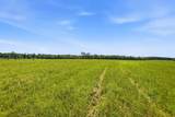 520 Acres Us Hwy 331 N - Photo 21