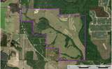 520 Acres Us Hwy 331 N - Photo 3