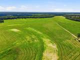 520 Acres Us Hwy 331 N - Photo 34