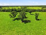 520 Acres Us Hwy 331 N - Photo 39