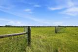 520 Acres Us Hwy 331 N - Photo 4