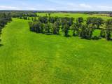 520 Acres Us Hwy 331 N - Photo 46