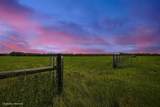 520 Acres Us Hwy 331 N - Photo 5