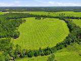 520 Acres Us Hwy 331 N - Photo 50