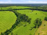 520 Acres Us Hwy 331 N - Photo 51