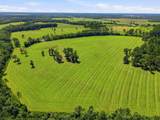 520 Acres Us Hwy 331 N - Photo 52