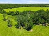 520 Acres Us Hwy 331 N - Photo 59
