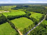 520 Acres Us Hwy 331 N - Photo 6
