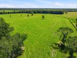 520 Acres Us Hwy 331 N - Photo 60