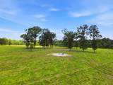 520 Acres Us Hwy 331 N - Photo 61