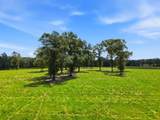 520 Acres Us Hwy 331 N - Photo 62