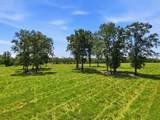 520 Acres Us Hwy 331 N - Photo 63